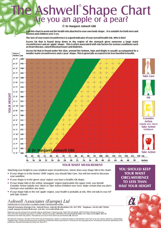 Ashwell Body Shape Chart